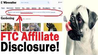 Setup Affiliate Disclaimer on WordPress + FTC Affiliate Link Disclosure Examples