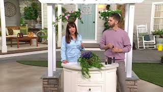Bernini 16 Scented Diffusing Faux Floral Hanging Basket on QVC