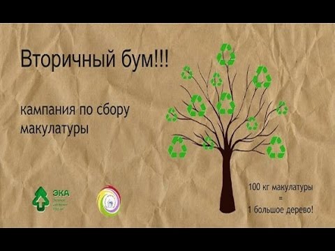 Как мы собрали тонны макулатуры ? Проект «ВторБум». Помогаем природе и защищаем экологию!