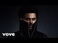 The Weeknd Fall For You Official Lyric Video 