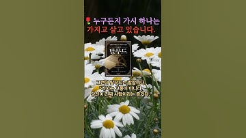 누구든지 가시 하나는 가지고 살고 있습니다🌿#Shorts#탈무드이야기 #인생명언 #감동글 #마음치유 #삶의지혜 #상처와성장