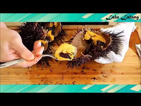 How to eat Sea Urchins Sashimi and process it