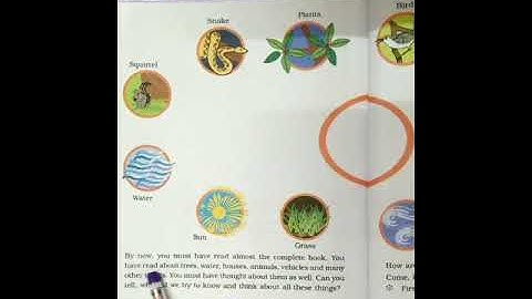 Web of Life (Class III, EVS, Ch-24) | KIDZ MILLENNIUM SCHOOL, ROORKEE