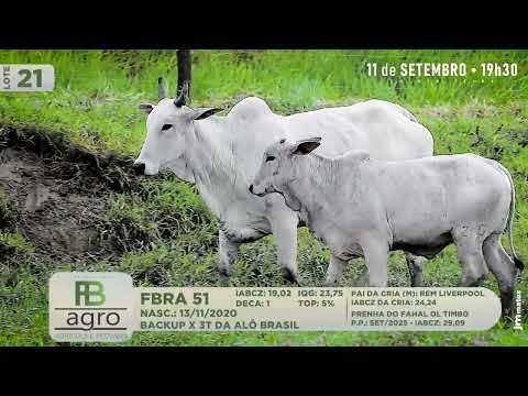 LOTE 21   FBRA 51
