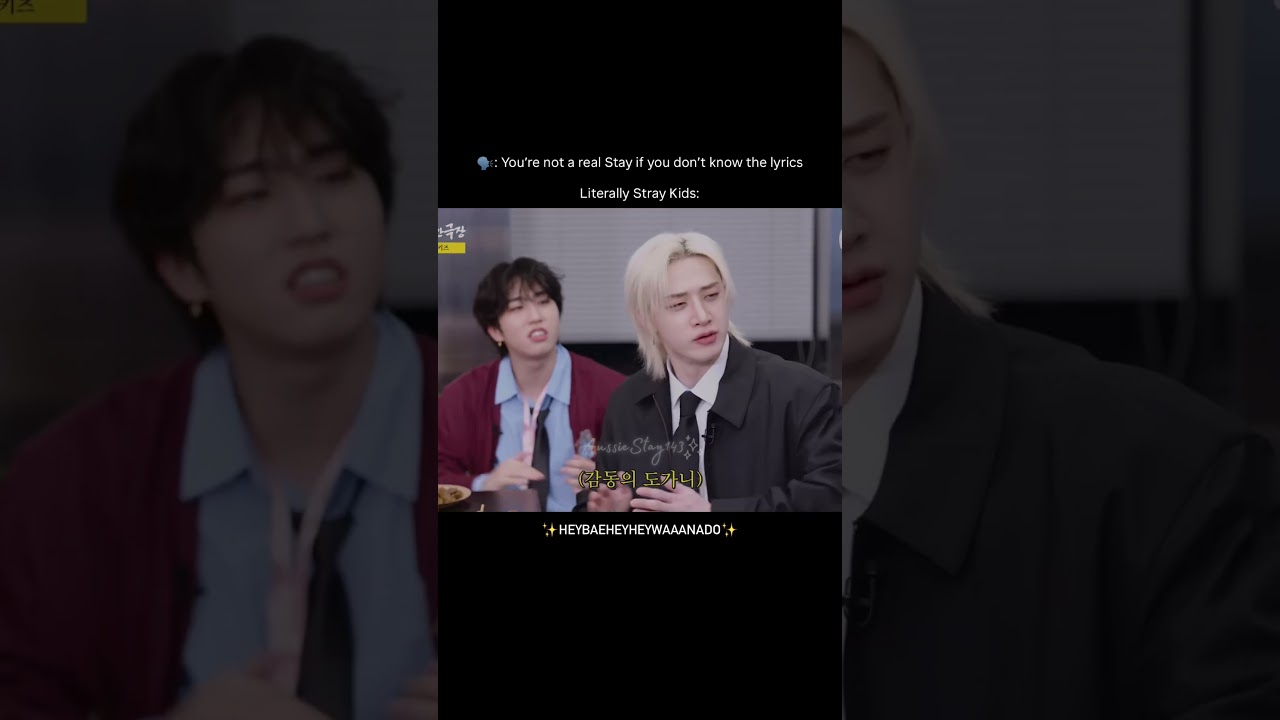Stray Kids are fluent in Stay language just like us 🥹😂 