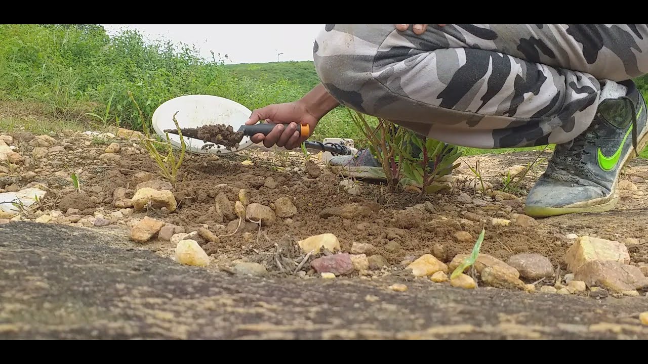 Olhem a quantidade de PEPITAS de OURO que encontrei nessa fazenda OURO!  EP1 GOLD/BRAZIL