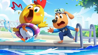 safety in swimming pools safety tips police cartoon kids cartoon sheriff labrador babybus