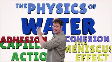 The Physics of Water