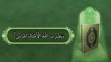 تلاوة من سورة النور (٣٥-٣٨)