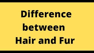 What is the Difference Between Hair and Fur