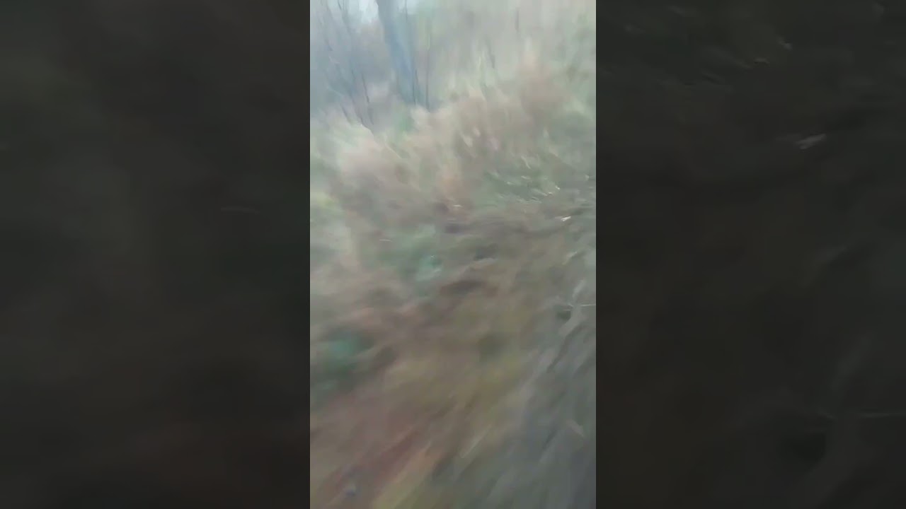 Evacuation, Russian style... 