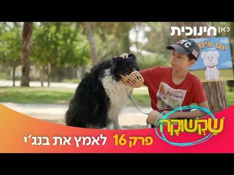 וִידֵאוֹ: הומלס שסירב לנטוש את כלבו מקבל עזרה מארגון ההצלה