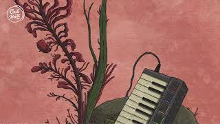 Mujo, Sweet Medicine - A Beauty