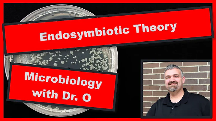 Endosymbiotic Theory:  Microbiology