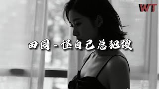 田园 - 怪自己总犯傻『要分就分得潇洒，怪自己总犯傻。』【动态歌词MV】