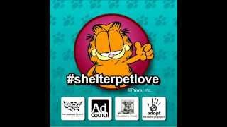 Garfield Visits A Pet Shelter - FIGHT