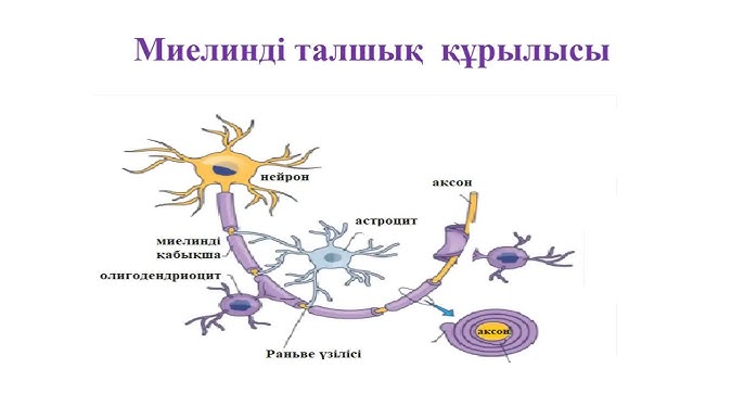 Ауылдың түкті кискасын мастурбациялау Жарылған аяқтардың порнофотосуреттері