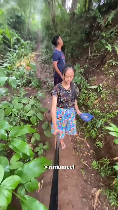 Dapet Jamur Raksasa yang Langka