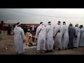 أحواش إثران نومارك 