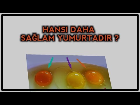 Video: Hansı yumurtalar daha sağlamdır?