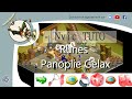 Nvic tuto  runes et panoplie gelax