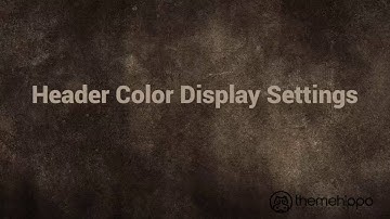 Header Top Background Display Settings - Sink WooCommerce WordPress Theme by ThemeHippo