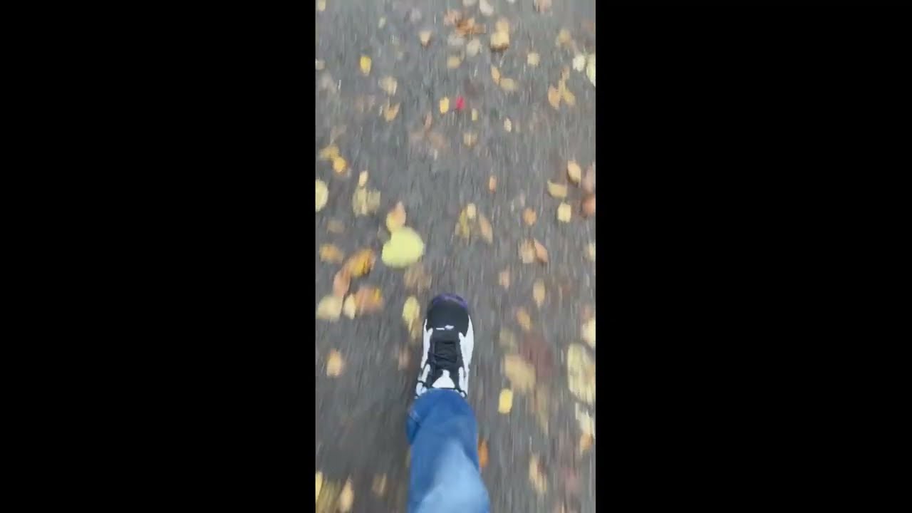 Reebok. Reebok Mobius OG.