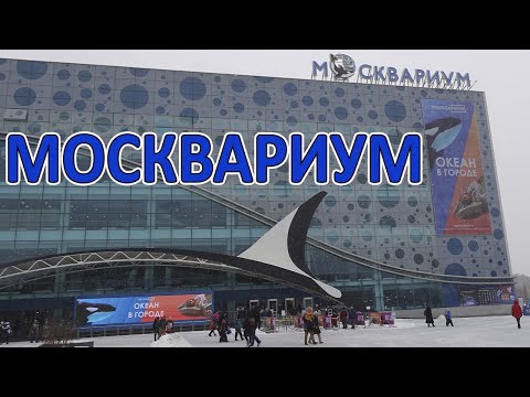 Москвариум на ВДНХ !