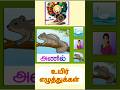 உயிர் எழுத்துக்கள் | அ எழுத்து சொற்கள் | a words in tamil | Akkidschoice #subscribe