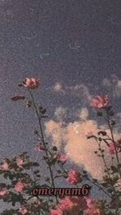 نغمة رنين😴فين لياليك🥀🖤