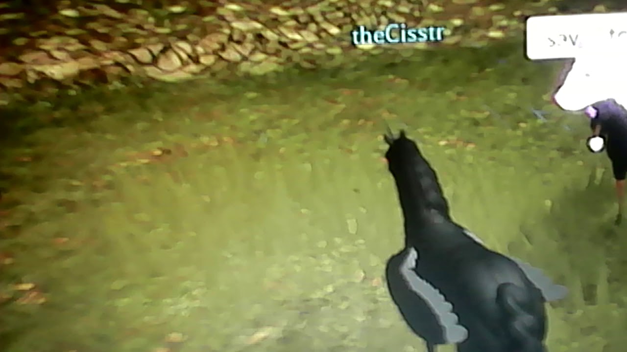 My adventure in horse world roblox 