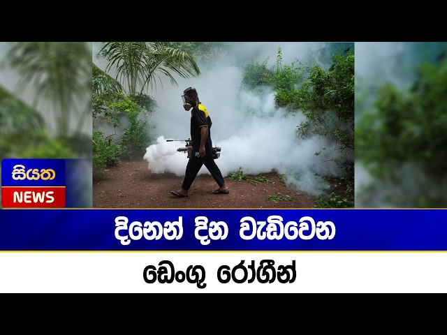 දිනෙන් දින වැඩිවෙන ඩෙංගු රෝගීන් | Siyatha News