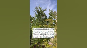 آيات بينات من سورة الإسراء برواية قالون عن نافع المدني#voiceeffects  #قرآن  #اكسبلور #quran