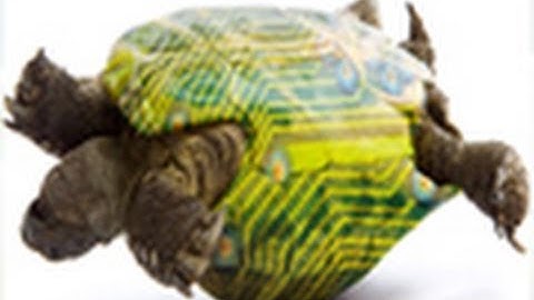 HP Sues Oracle For Stop Supporting Intel Itanium Processor! Someone Gotta Pay $$!