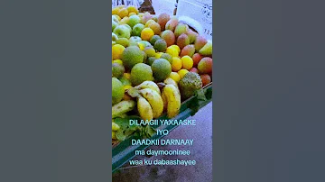 CABDULQADIR CUSEIN BUUNIS SED MALEH SARIGLAAY 