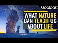 What Nature Can Teach Us About Life