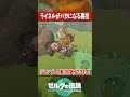 ライネルがバカになっちゃう裏技を紹介ww『ゼルダの伝説ティアーズオブザキングダム』 #shots