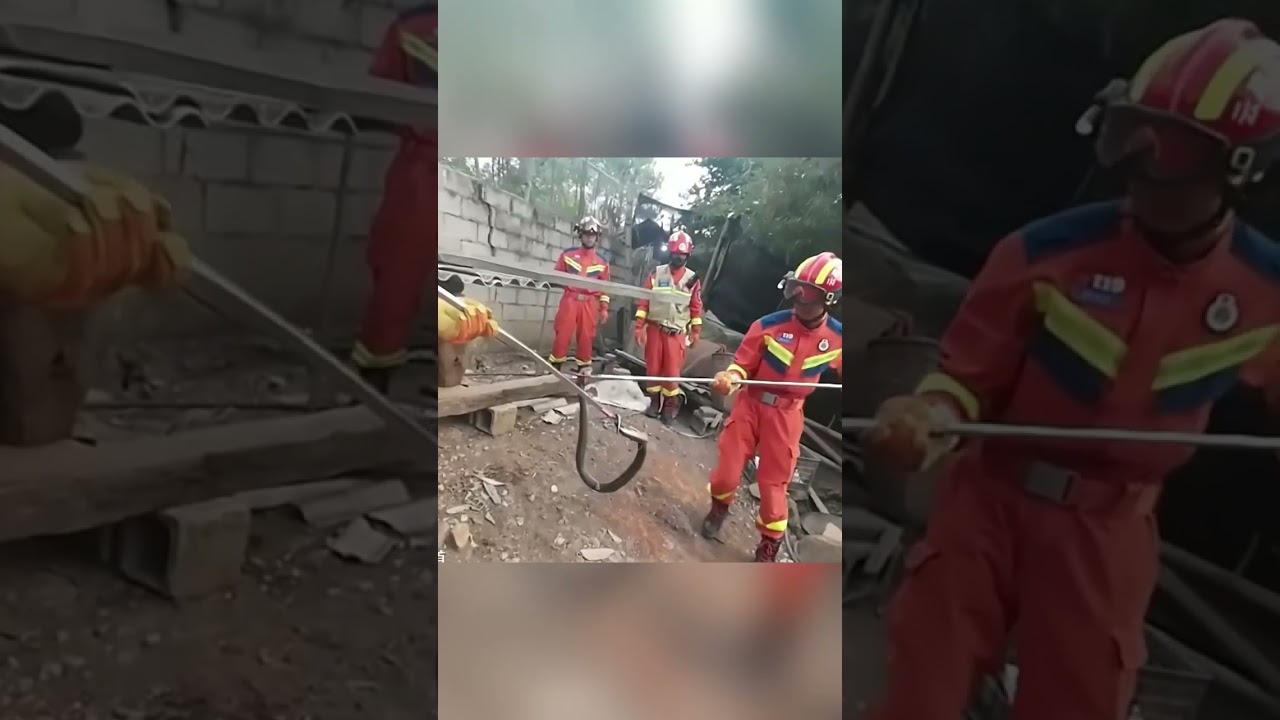 Snake caught in chicken coop in China’s Yunnan