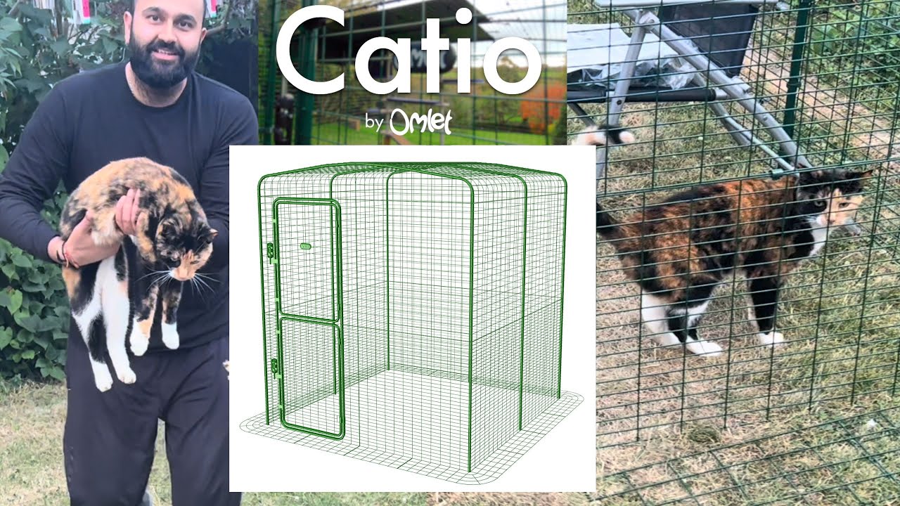 I bought an omlet catio for my cat outdoor pet run