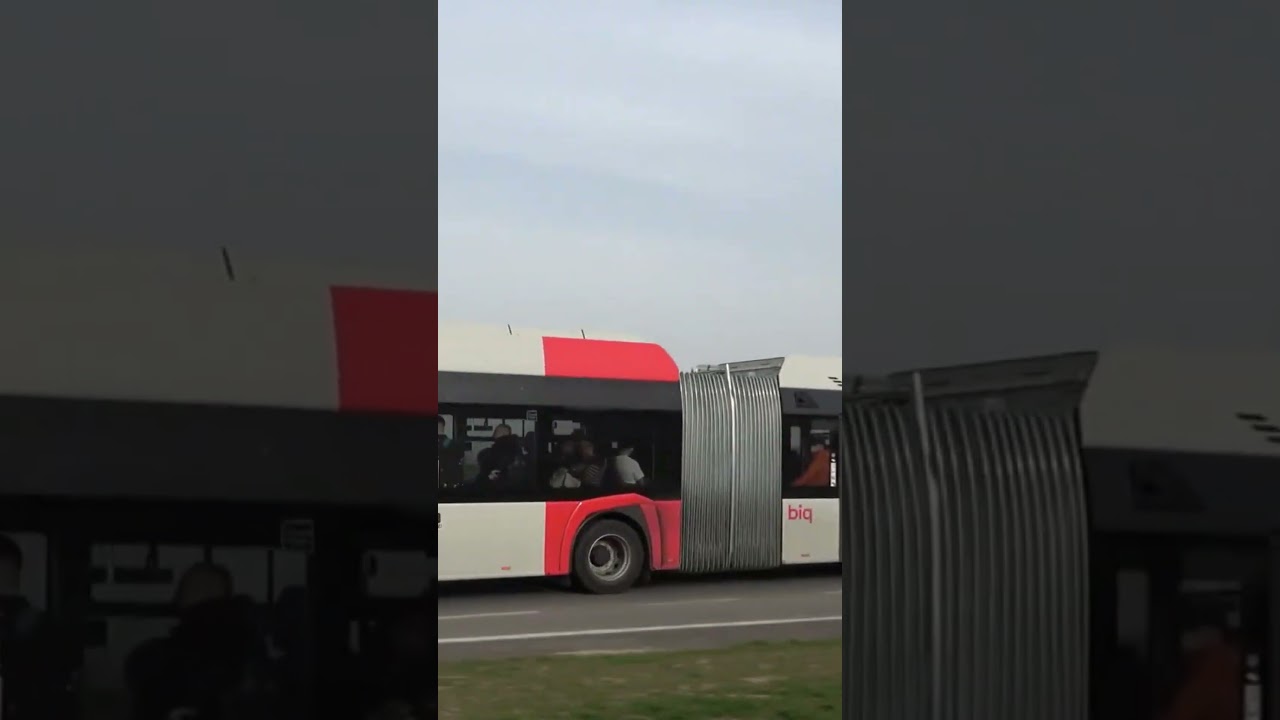 Public Transport Bus