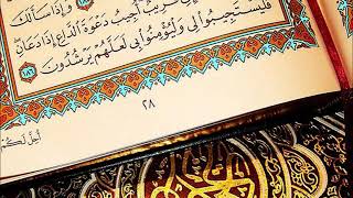 سورة الإخلاص | بصوت الشيخ : توفيق الصايغ .