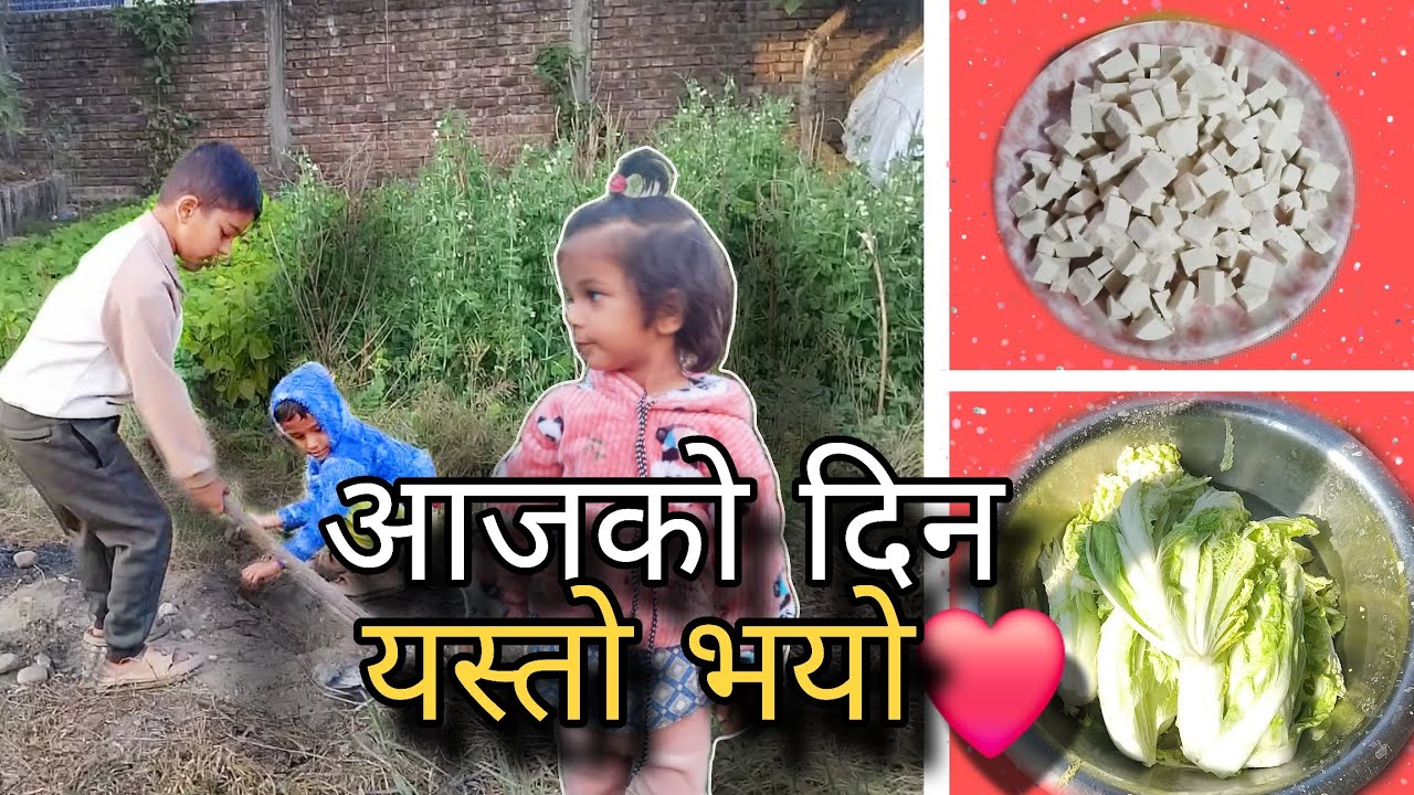 आज घर मा तोफु बनाएर खाइयो 😋 । Daily vlog
