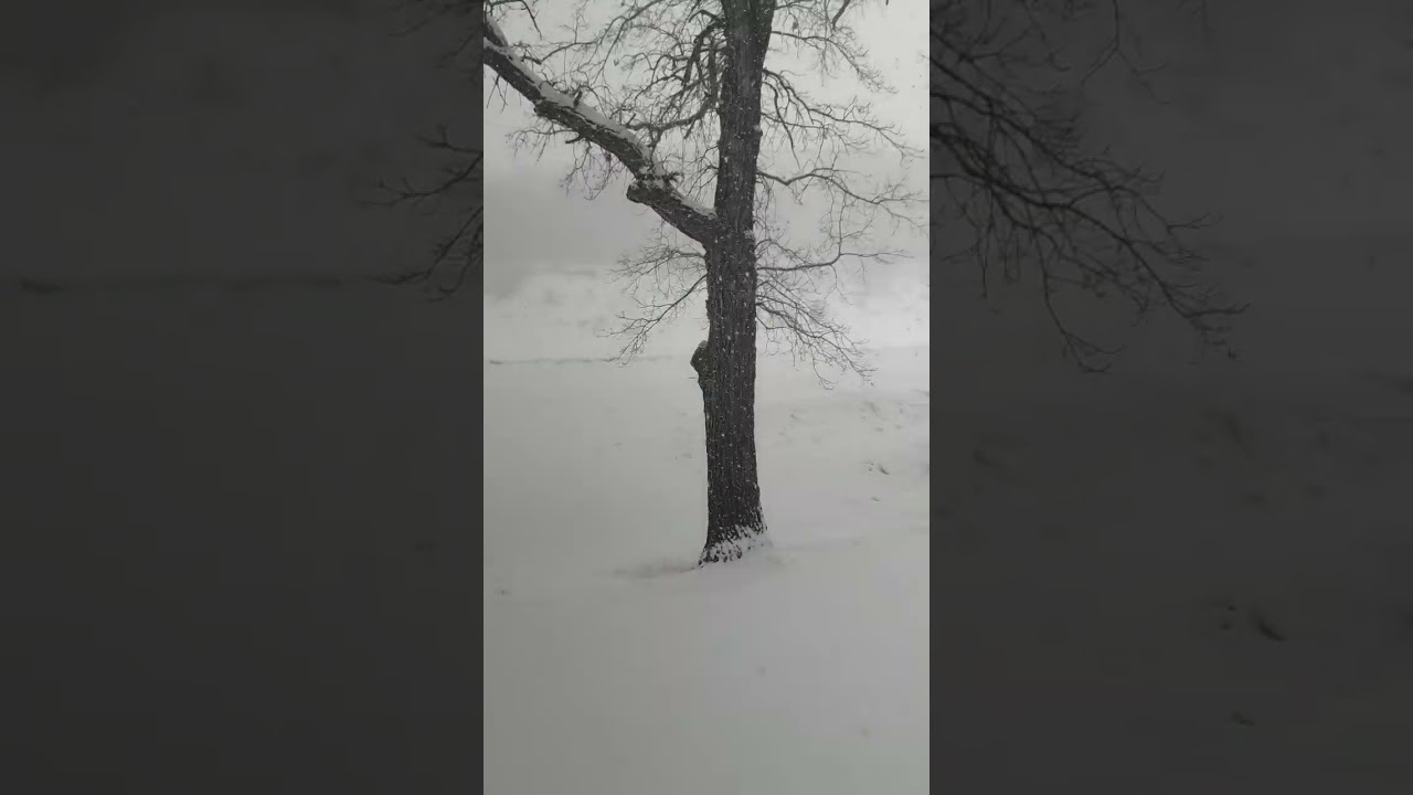 Spring Snow storm 😁