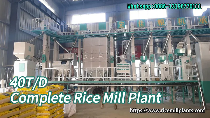 40T/D Complete Rice Processing Plant | Rice Milling Machinery for Sale - Hongjia Rice Mill - DayDayNews