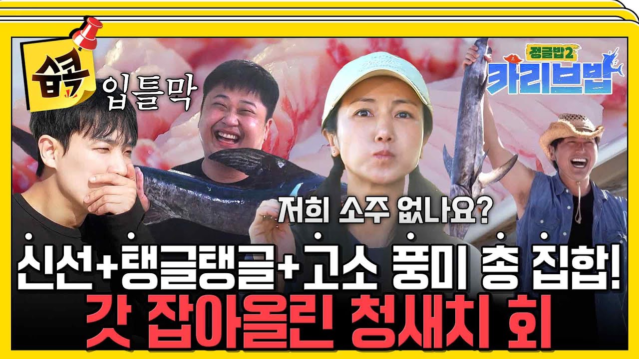 [#습콕📌] 회 좋아하는 사람 필수 시청🐟삼치같기도 하고 방어 같기도 하고?! 각종 회 꿀맛 포인트 총 집합한 청새치 회 #정글밥2카리브밥 #JungleBoB #SBSenter