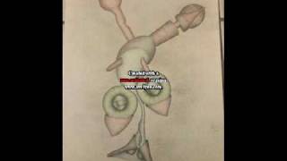 Bunny Wailersfuneral196xburial1980mpeg