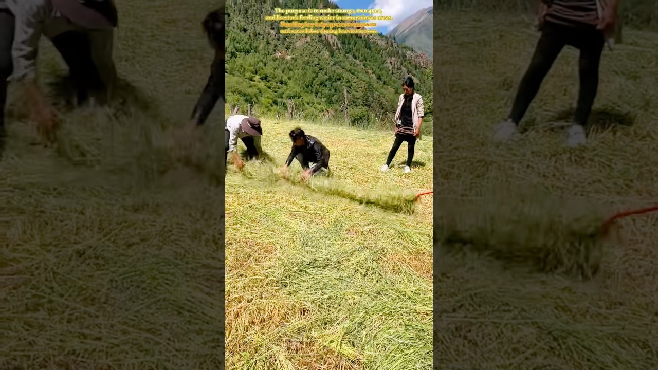 Why Are They Turning Grass Into A Giant Rope? #farming #agriculture #farmer