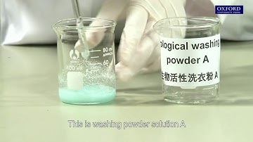 Practical 4.5 Investigation of the effectiveness of different biological washing powders