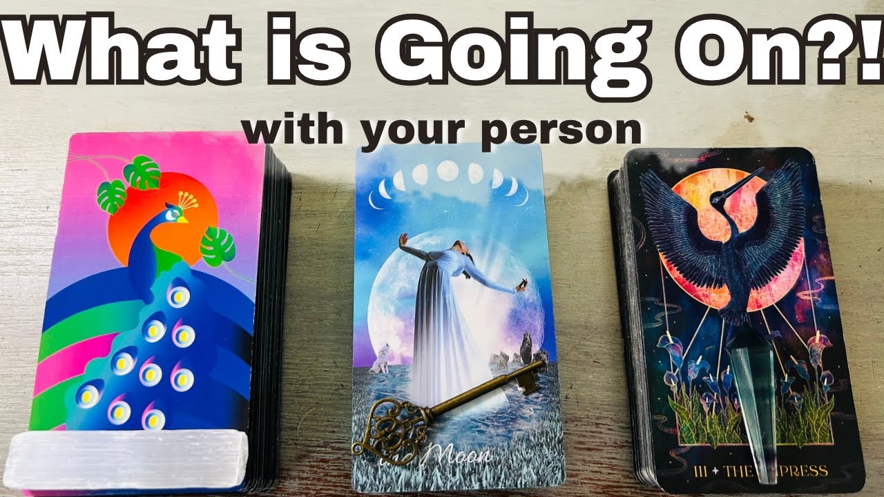 What is Happening with Your Person?! Little or No Contact Love Pick A Card Timeless Tarot Reading