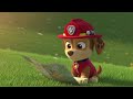 Paw Patrol &amp; the Frozen River Rescue Story &amp; More